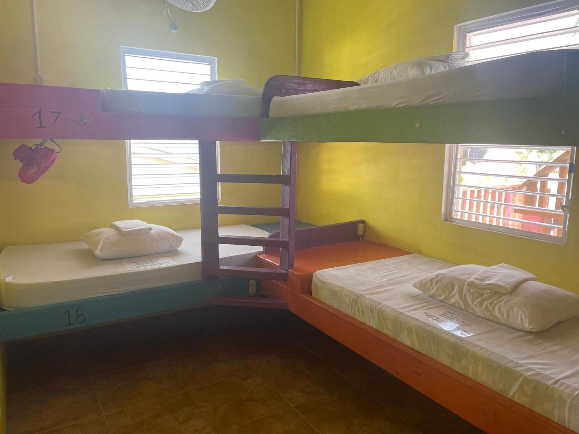 Travellers Palm Backpackers Hostel Caye Caulker Luaran gambar