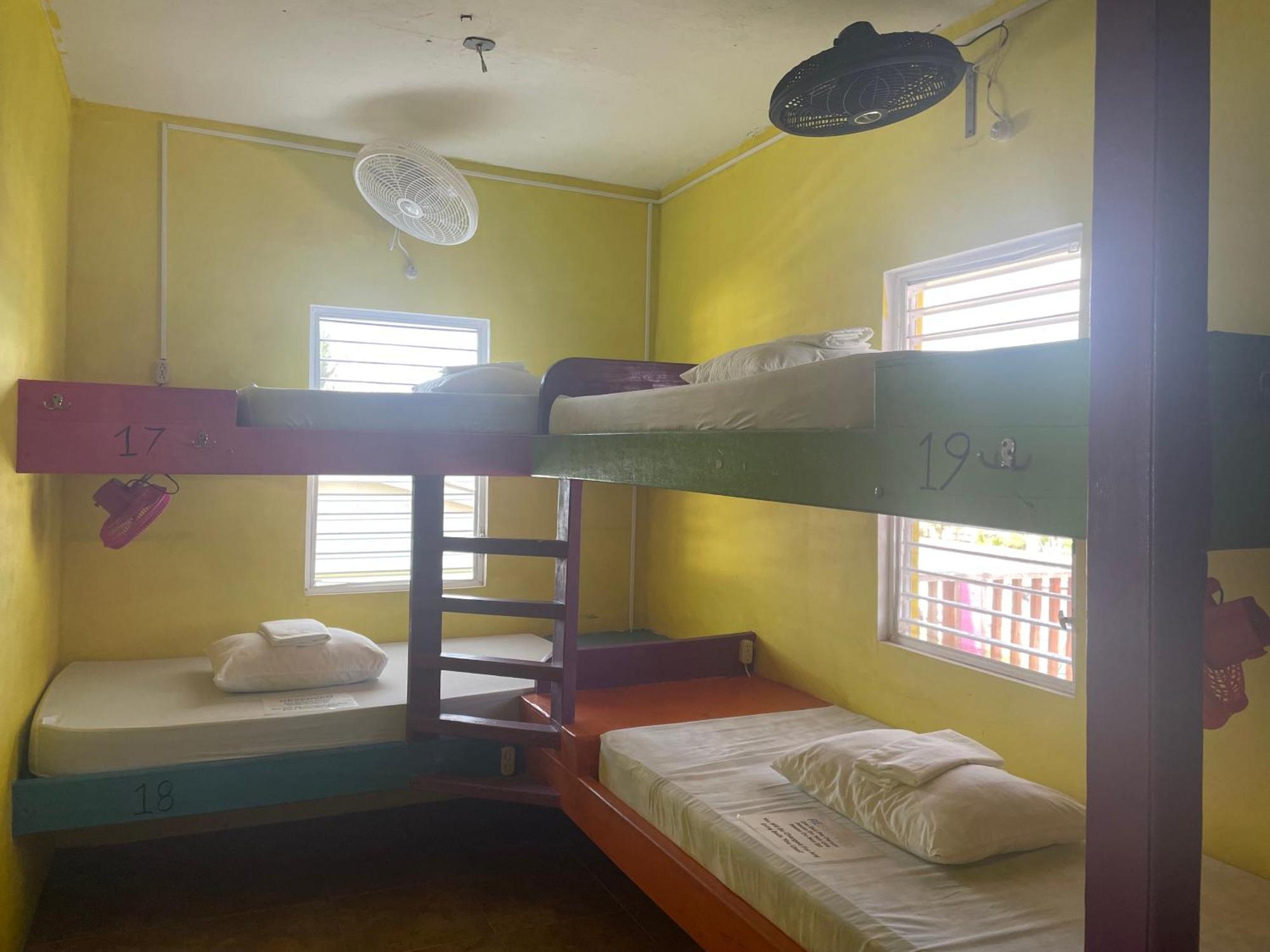 Travellers Palm Backpackers Hostel Caye Caulker Luaran gambar